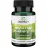 Swanson Full Spectrum Aronia (Chokeberry), 400mg - 60 Capsule Beneficii Aronia: creste sanatatea inimii, amelioreaza diabetul, b